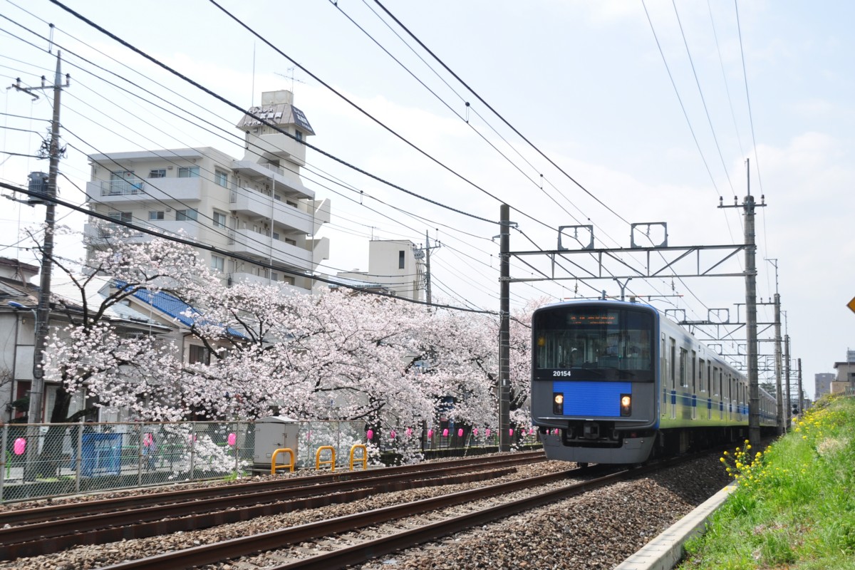 武蔵関－東伏見・桜
