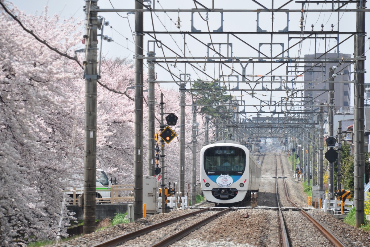 武蔵関－東伏見・桜