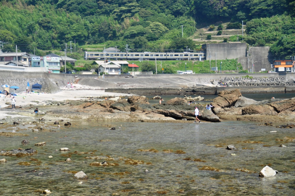 撮影・内房線・江見－太海