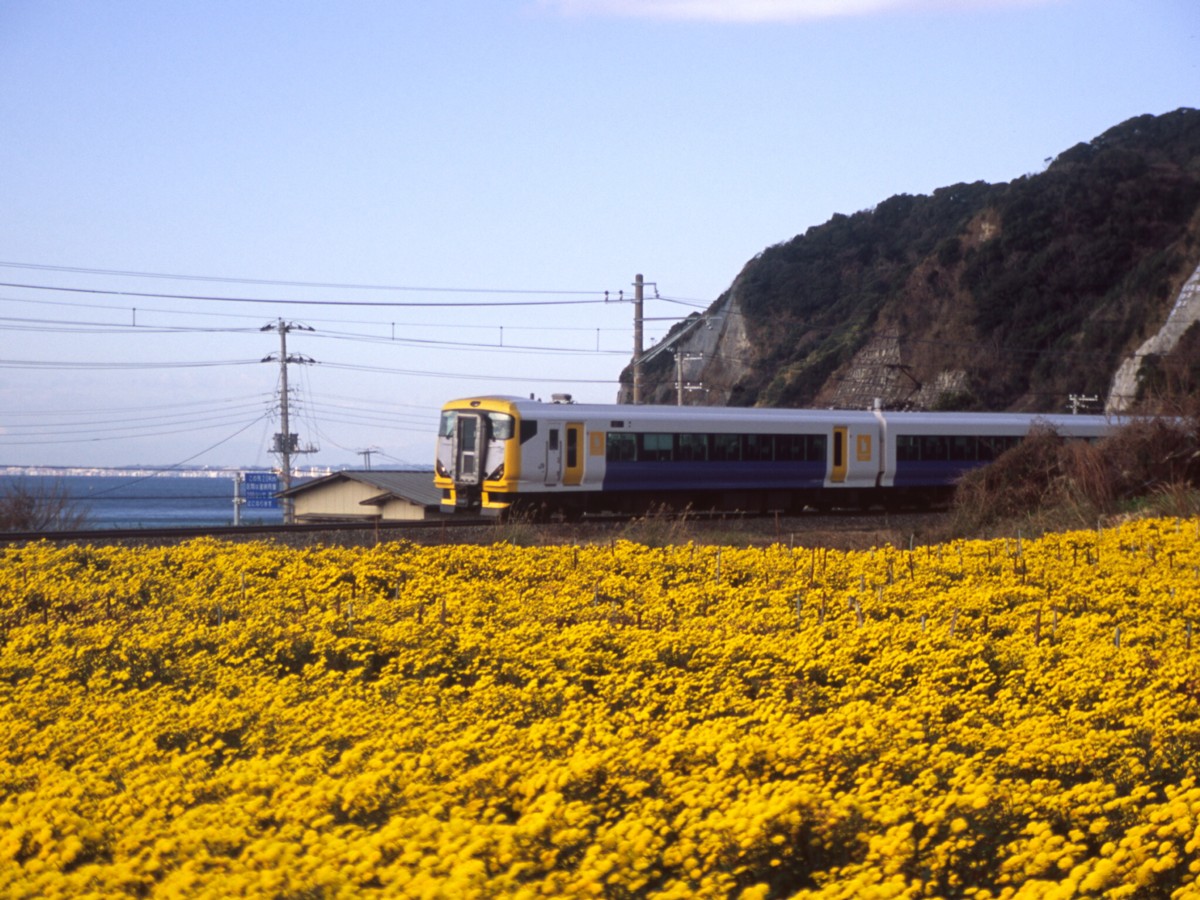 撮影・内房線・浜金谷－保田