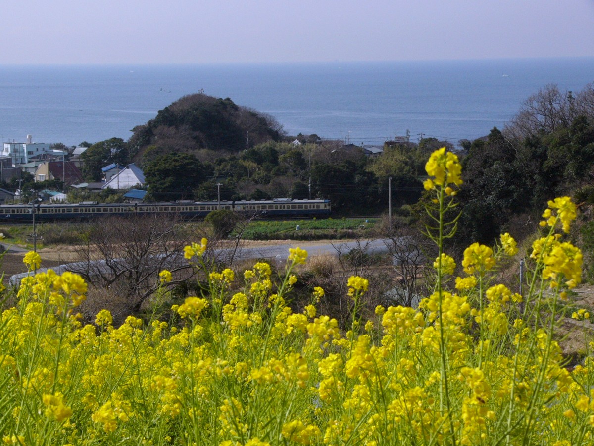 撮影・内房線・浜金谷－保田