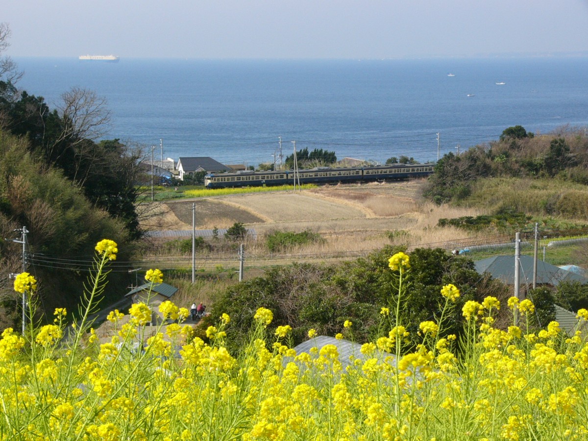 撮影・内房線・浜金谷－保田