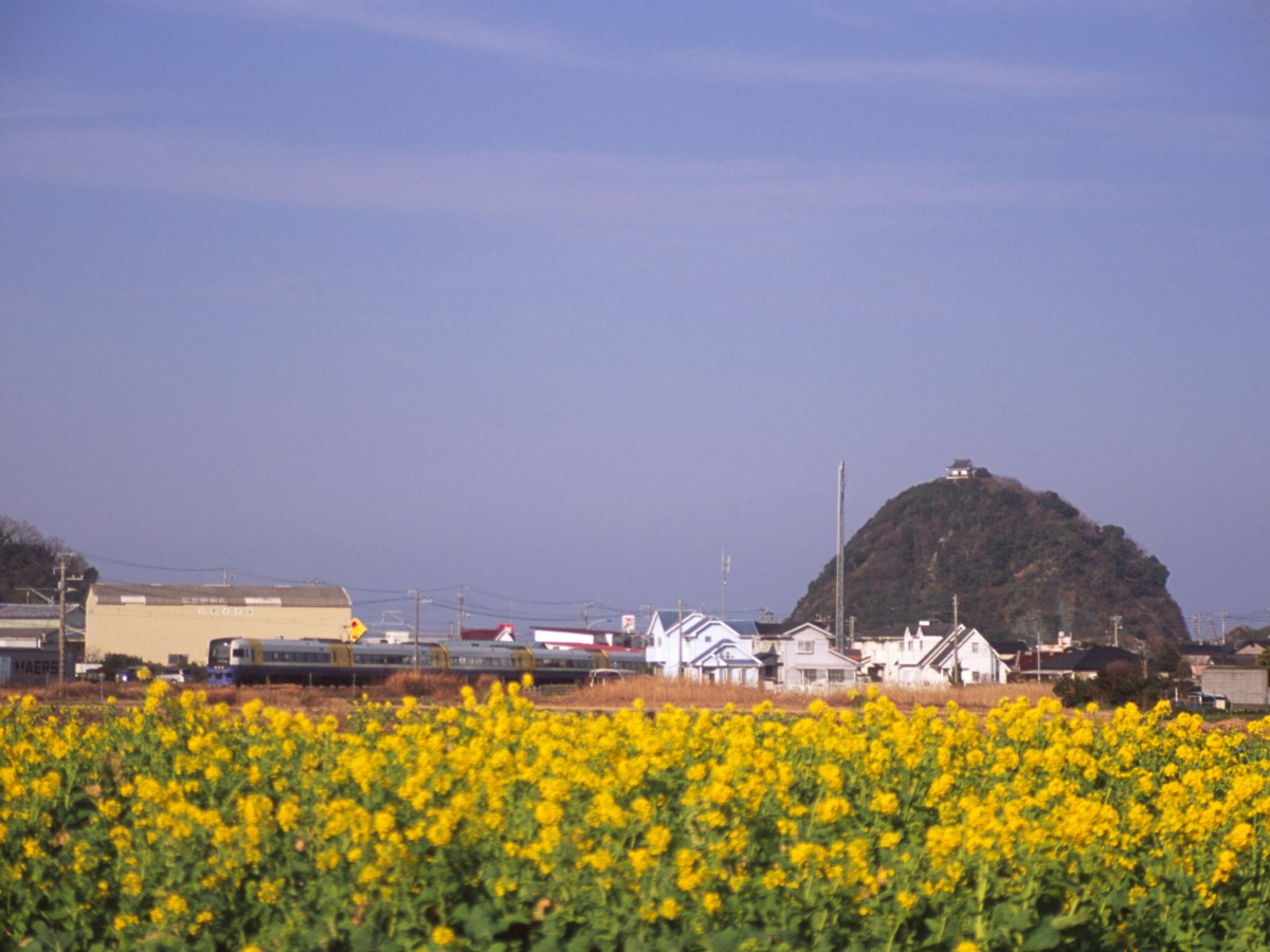 撮影・内房線・安房勝山－岩井
