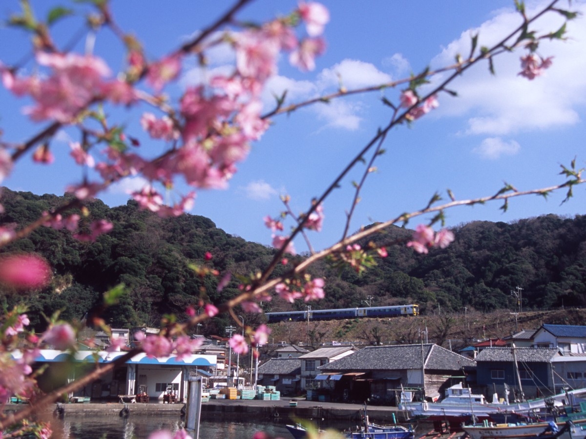 撮影・内房線・岩井－富浦
