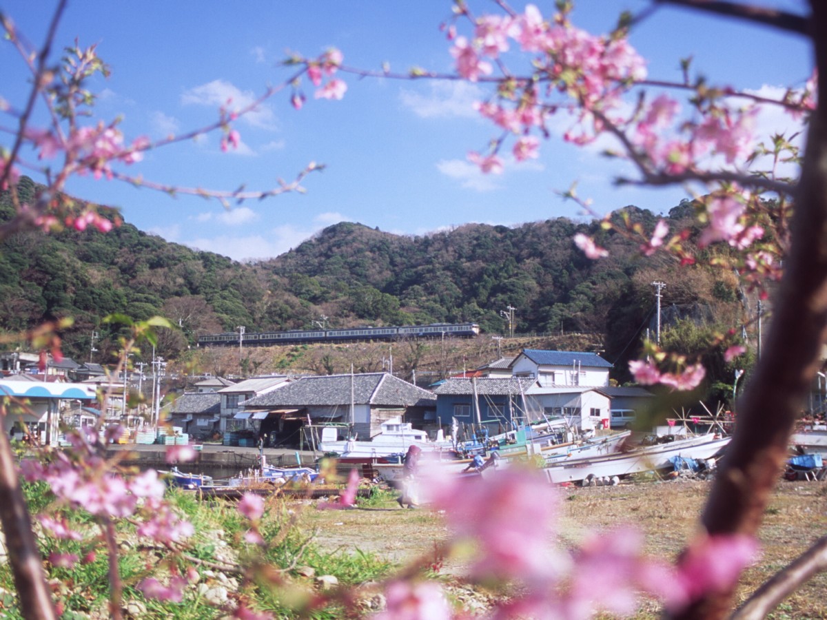 撮影・内房線・岩井－富浦
