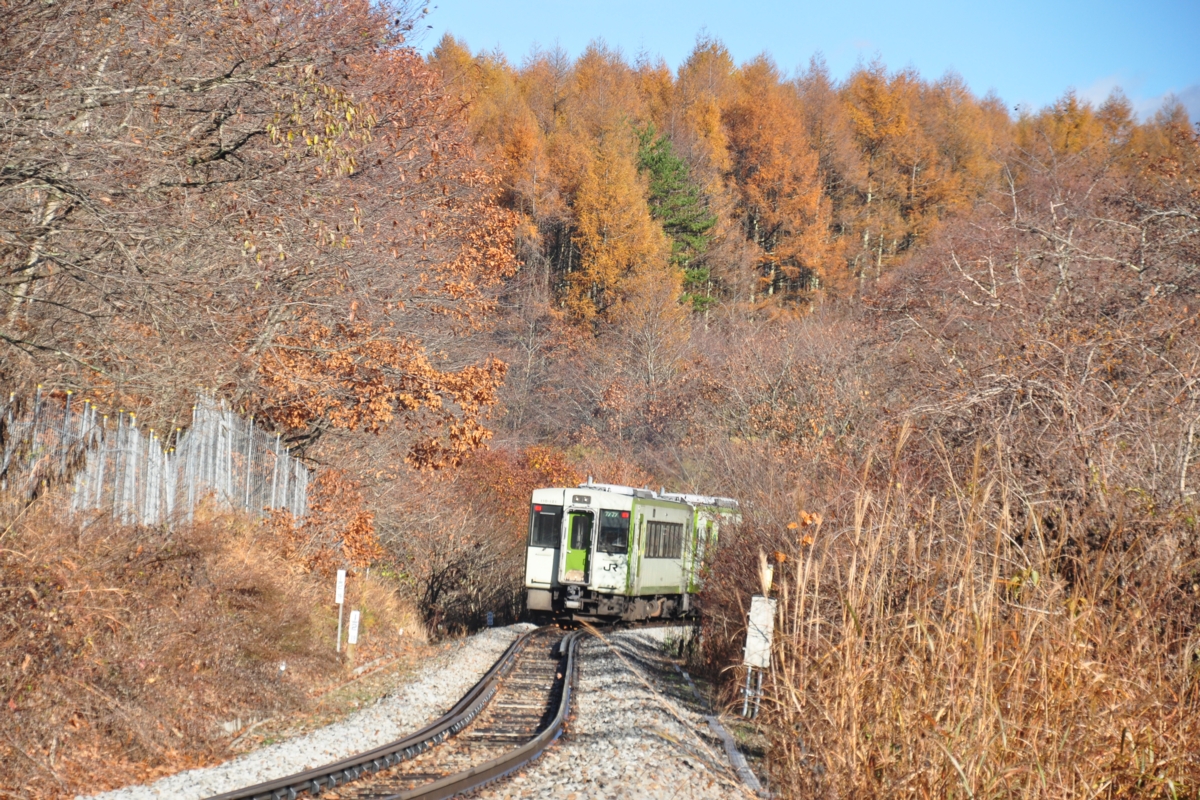 撮影・紅葉・小海線・清里－野辺山