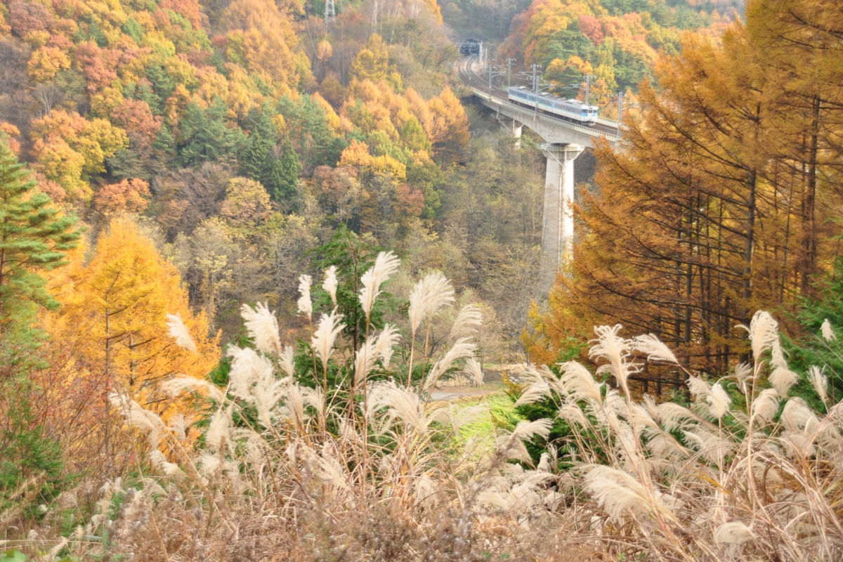 撮影・紅葉・中央本線・信濃境－富士見