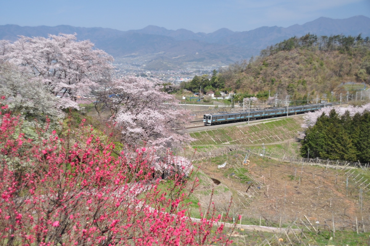 撮影・桜・中央本線・勝沼ぶどう郷－塩山