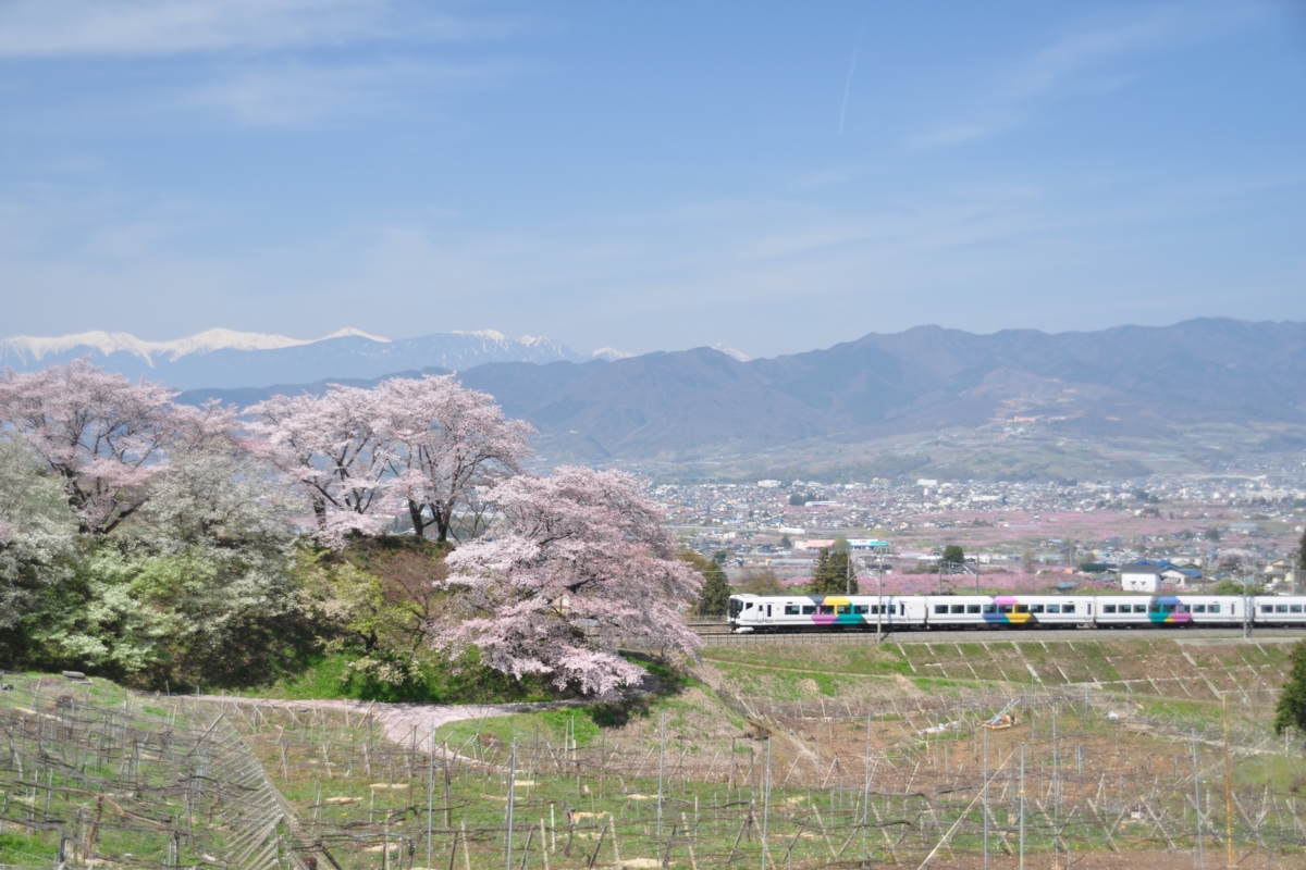 撮影・桜・中央本線・勝沼ぶどう郷－塩山