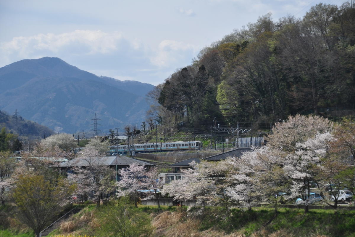 撮影・桜・中央本線・上野原