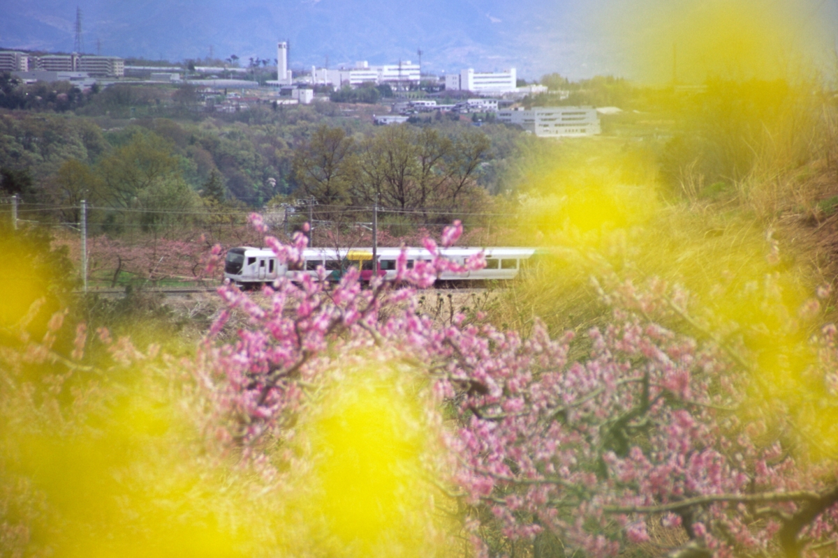 撮影・中央本線・新府・桃