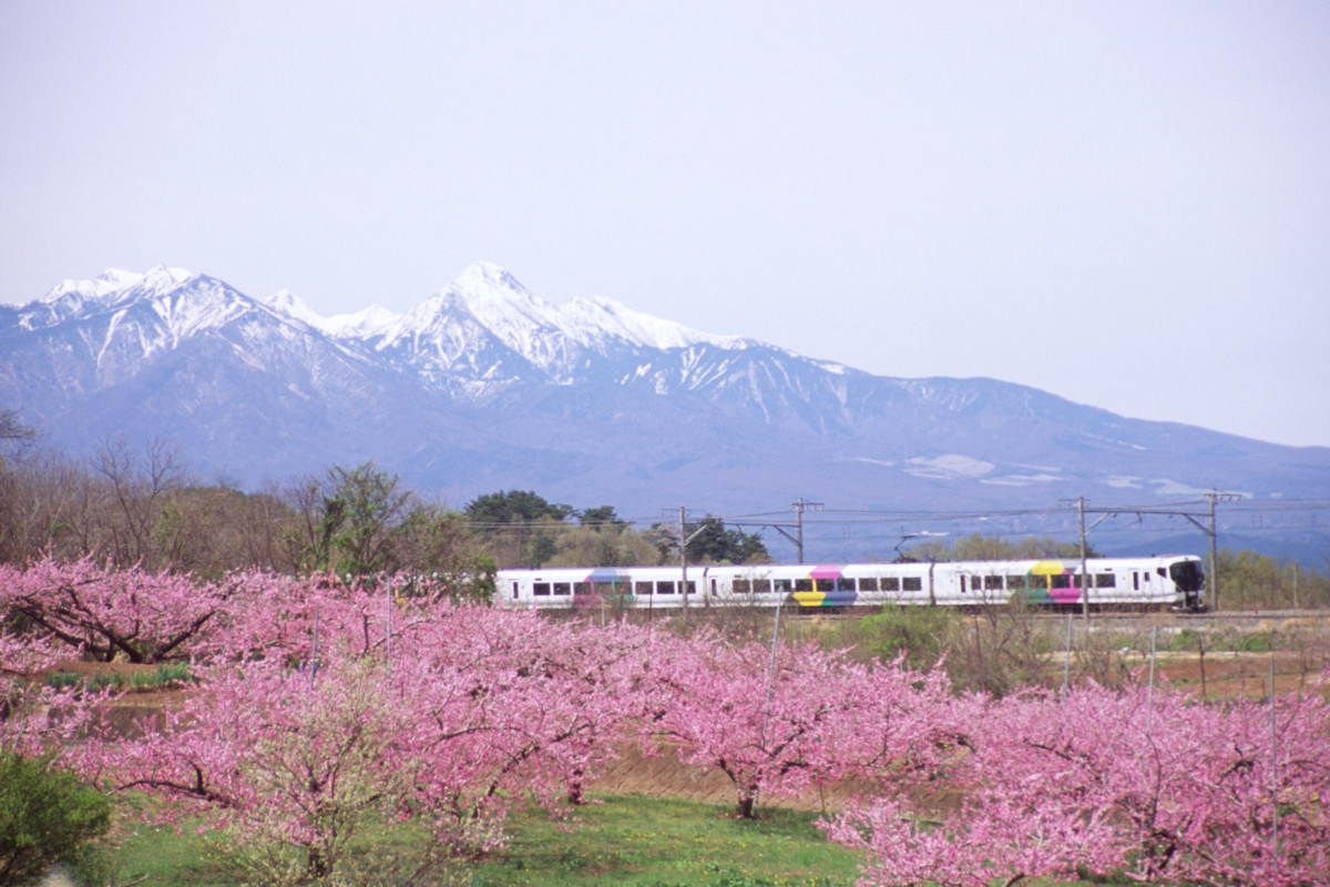 撮影・中央本線・新府・桃・八ヶ岳