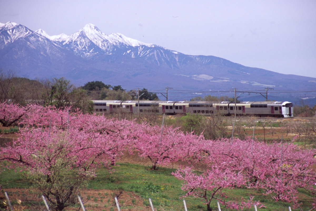 撮影・中央本線・新府・桃・八ヶ岳