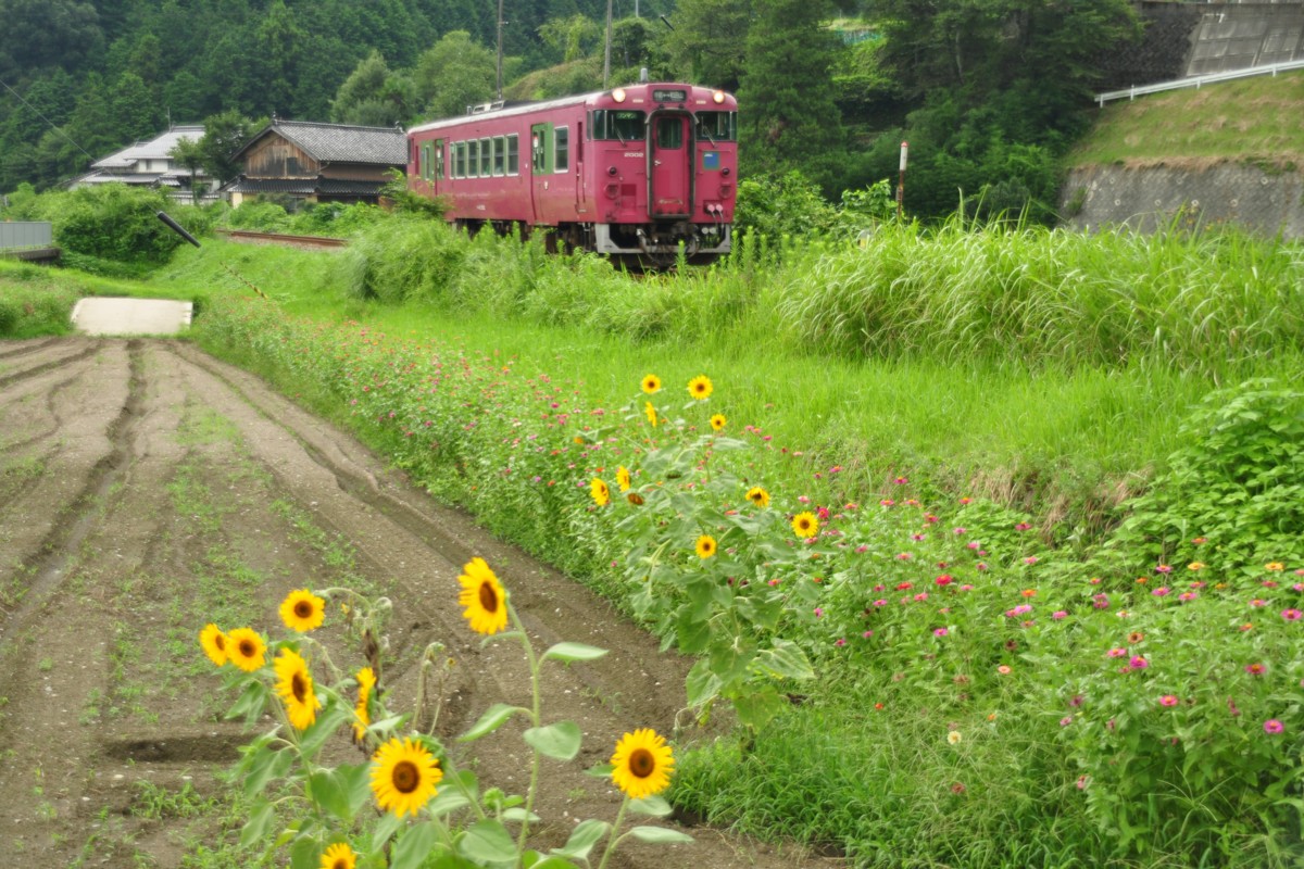 撮影・播但線・竹田－青倉