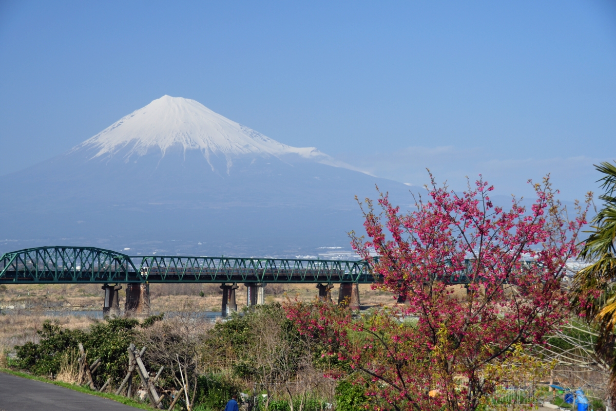 撮影・東海道本線・富士－富士川