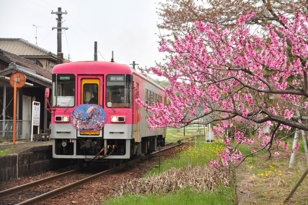 撮影・春・北条鉄道・長