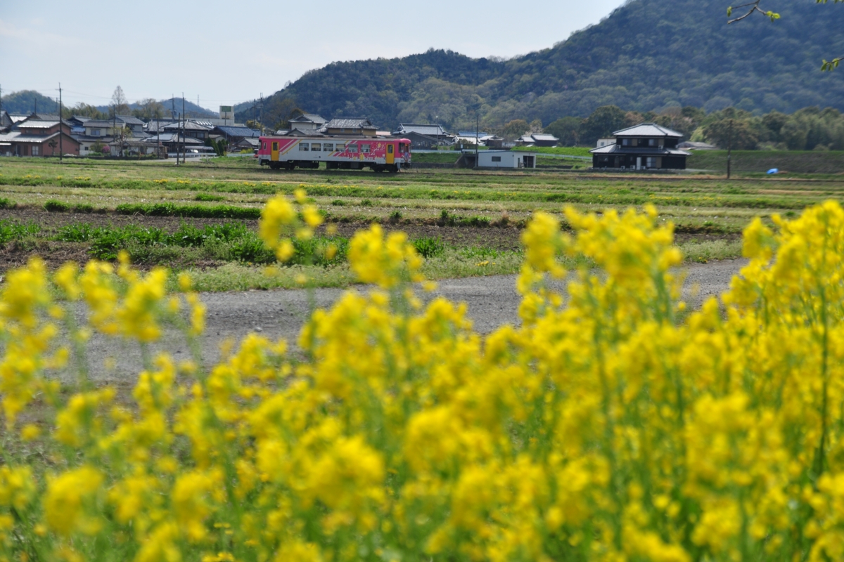撮影・春・北条鉄道・法華口－播磨下里