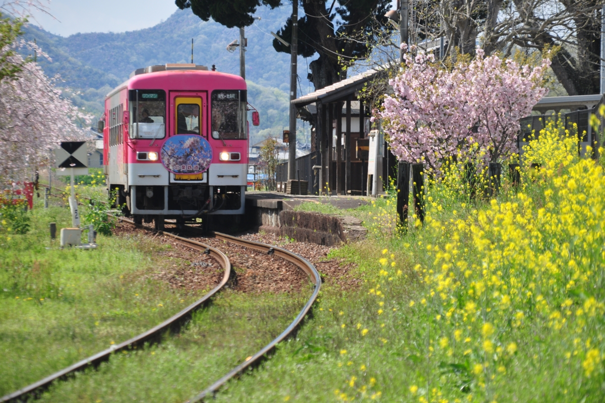 撮影・春・北条鉄道・網引