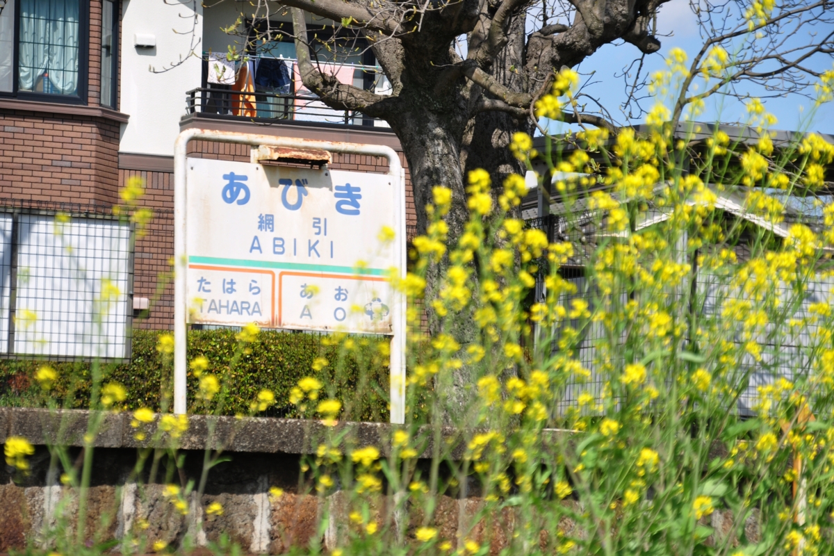 撮影・春・北条鉄道・網引