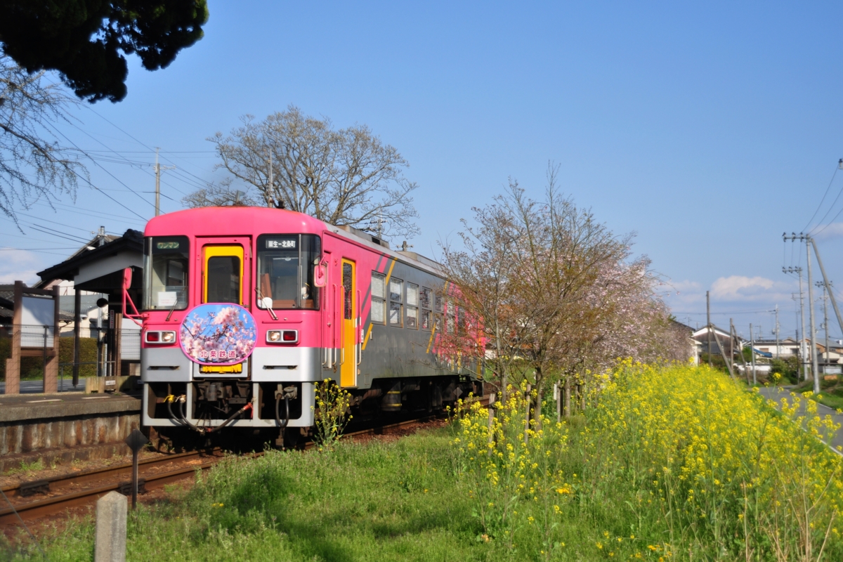 撮影・春・北条鉄道・網引
