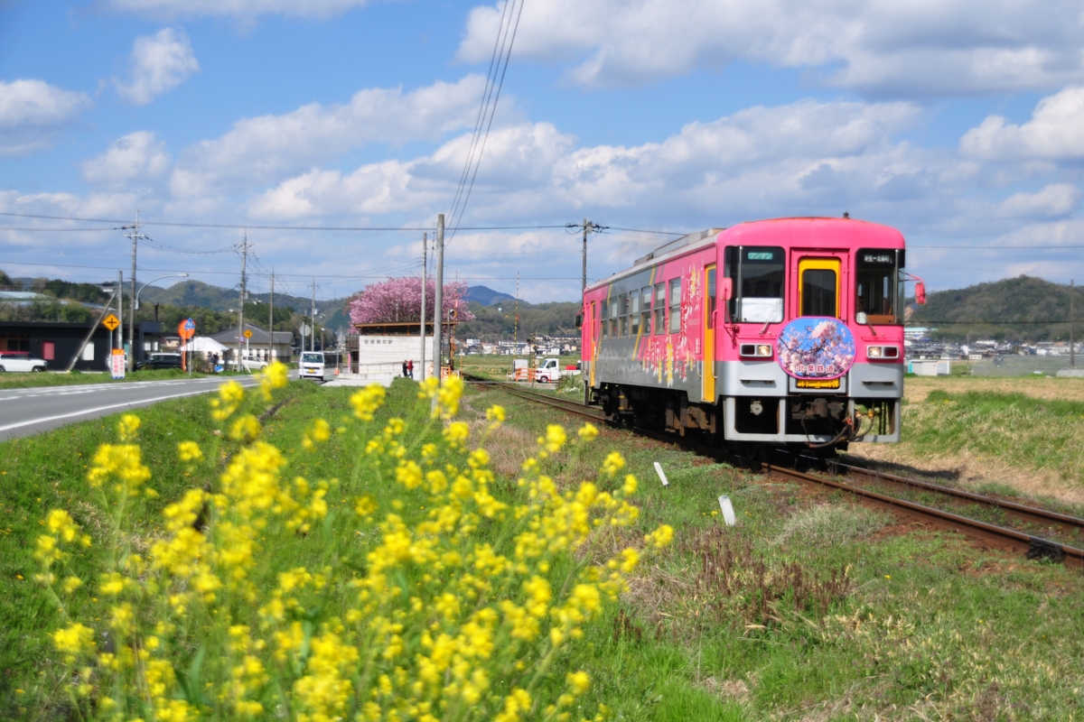 撮影・春・北条鉄道・播磨横田