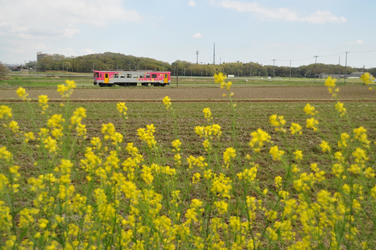 撮影・春・北条鉄道・播磨横田－北条町