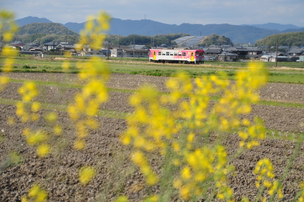 撮影・春・北条鉄道・播磨下里－長