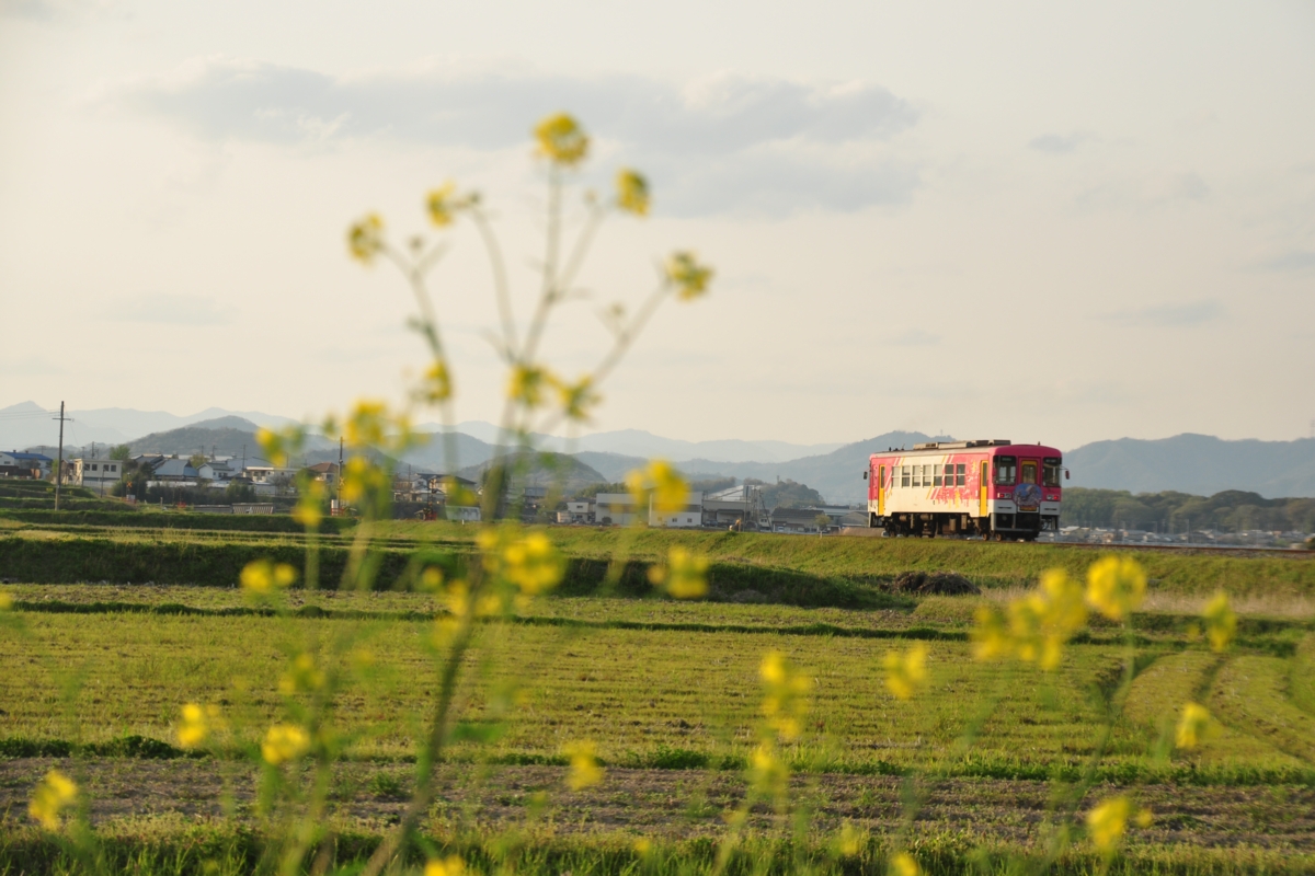 撮影・春・北条鉄道・法華口