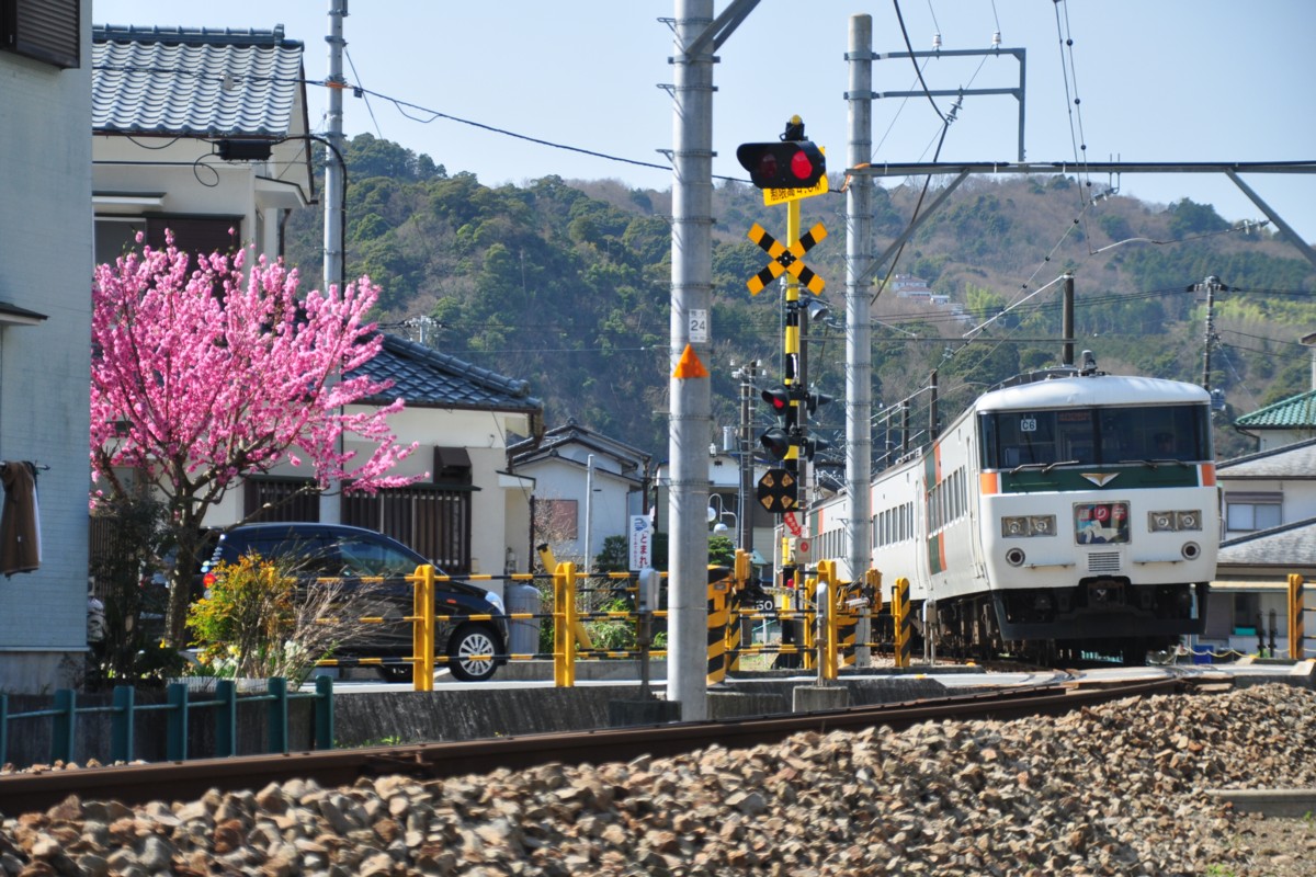 撮影・伊豆箱根鉄道駿豆線・牧之郷－大仁