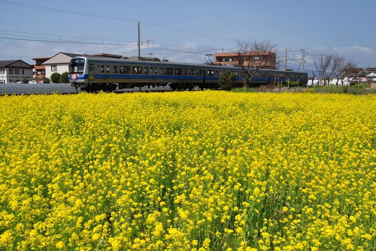 撮影・伊豆箱根鉄道駿豆線・伊豆仁田－大場
