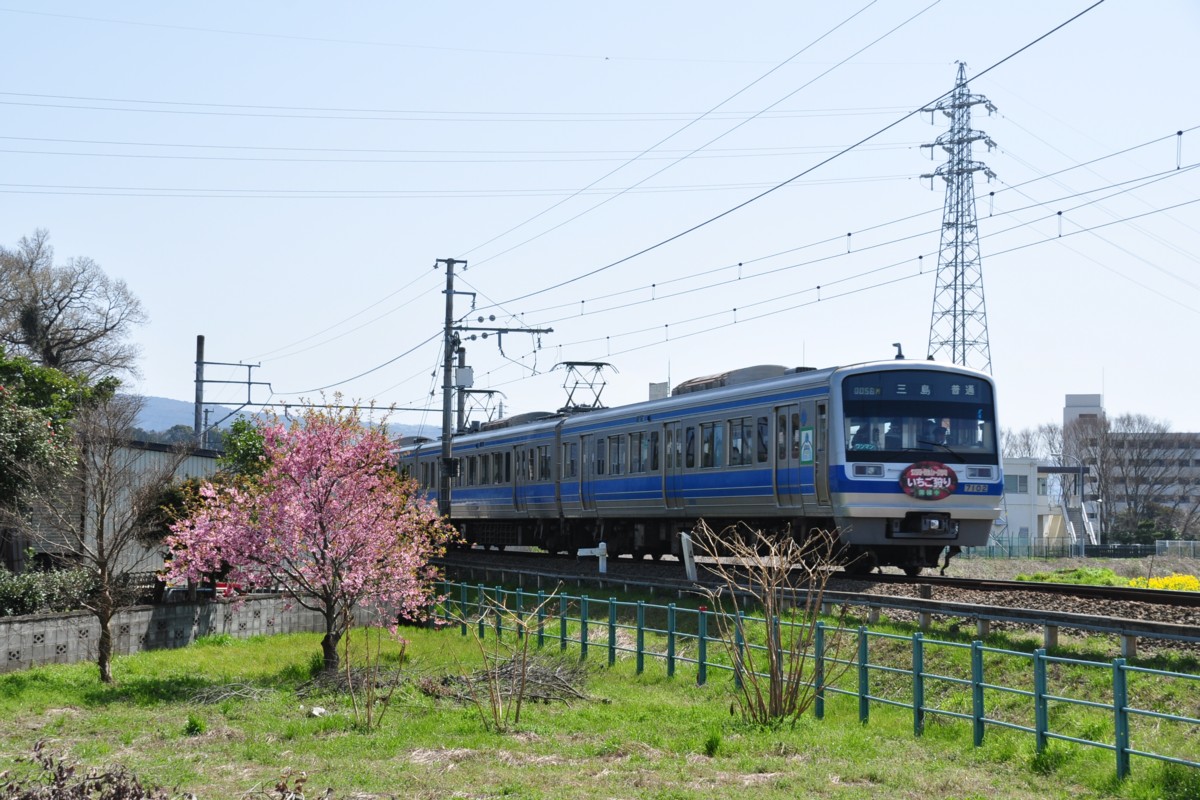撮影・伊豆箱根鉄道駿豆線・大場－三島二日町
