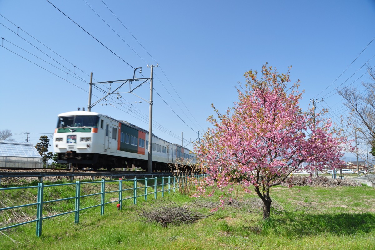撮影・伊豆箱根鉄道駿豆線・大場－三島二日町