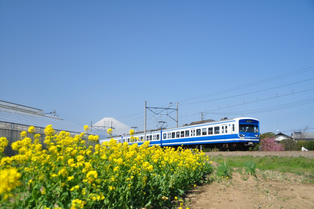 撮影・伊豆箱根鉄道駿豆線・大場－三島二日町