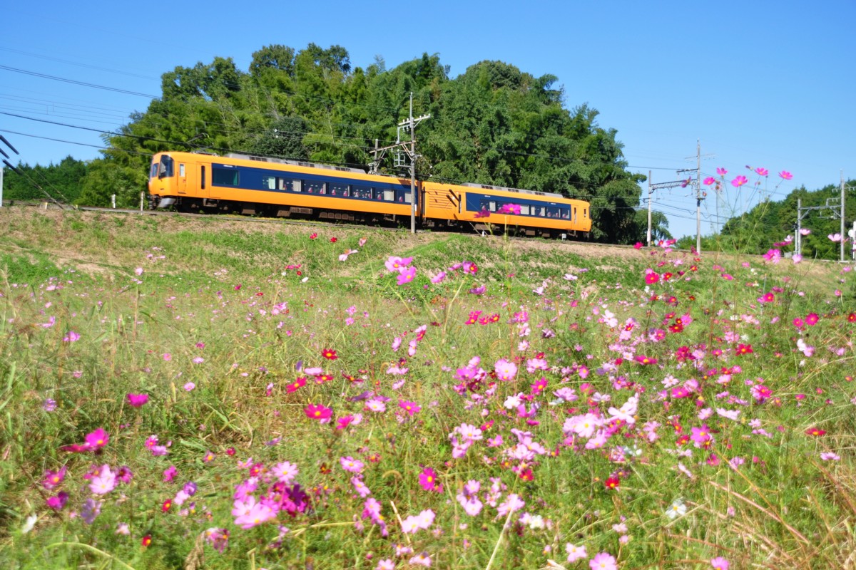 近鉄吉野線・壺阪山