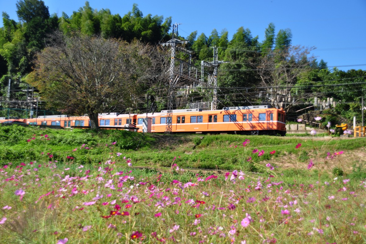 近鉄吉野線・壺阪山