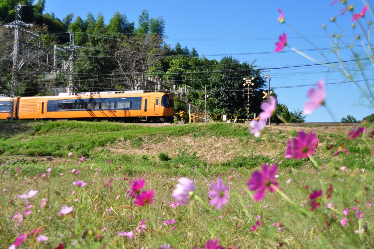 近鉄吉野線・壺阪山