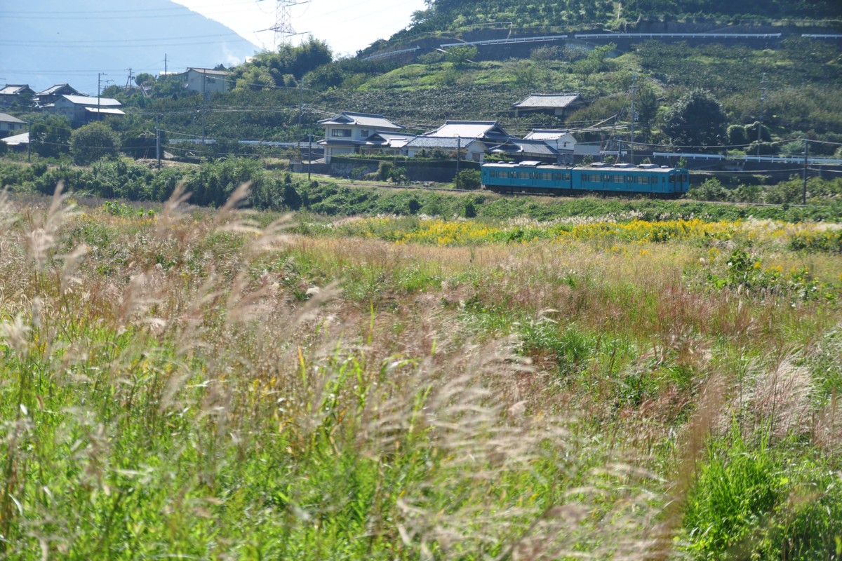 和歌山線・笠田－西笠田