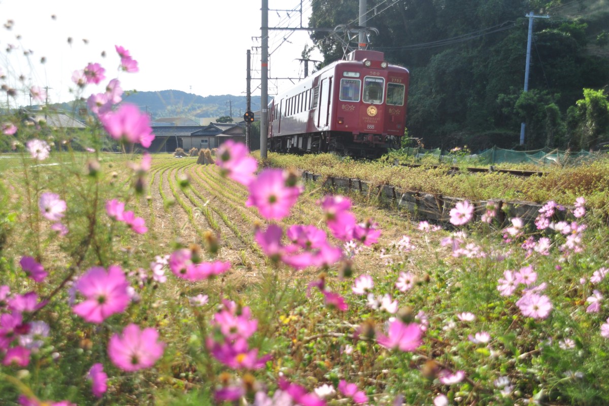 和歌山電鐵貴志川線・吉礼－伊太祁曽