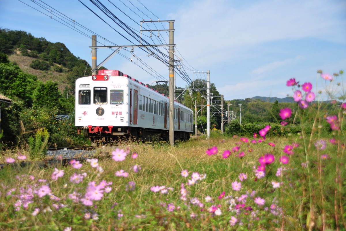 和歌山電鐵貴志川線・吉礼－伊太祁曽