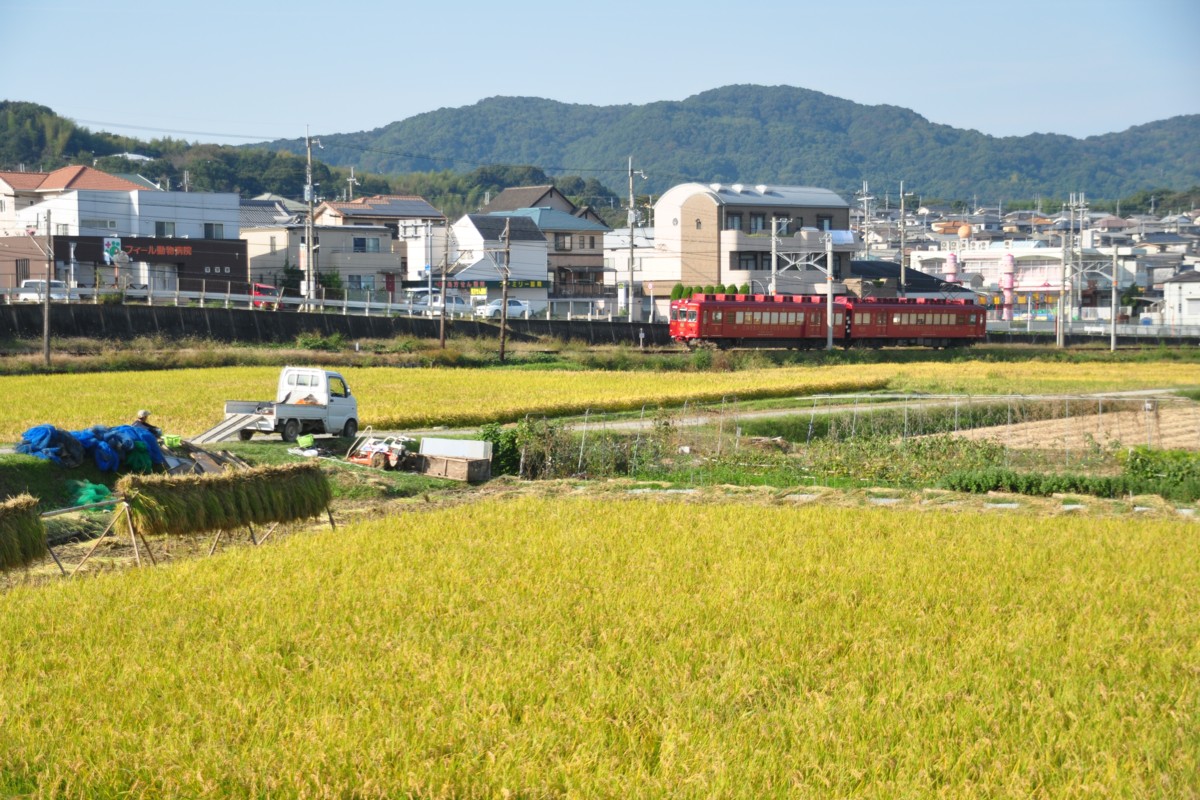 和歌山電鐵貴志川線・大池遊園－西山口