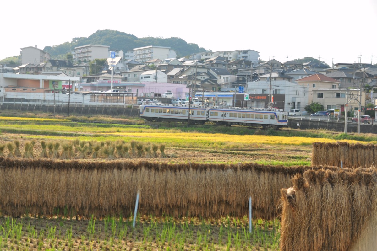 和歌山電鐵貴志川線・大池遊園－西山口
