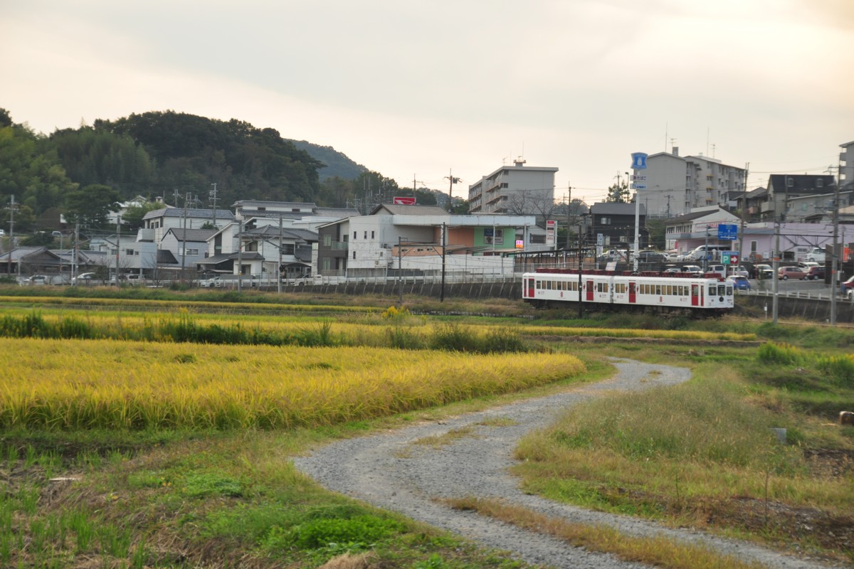 和歌山電鐵貴志川線・大池遊園－西山口