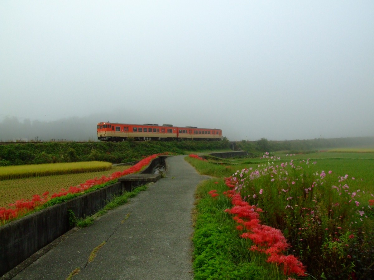 撮影・姫新線・播磨徳久