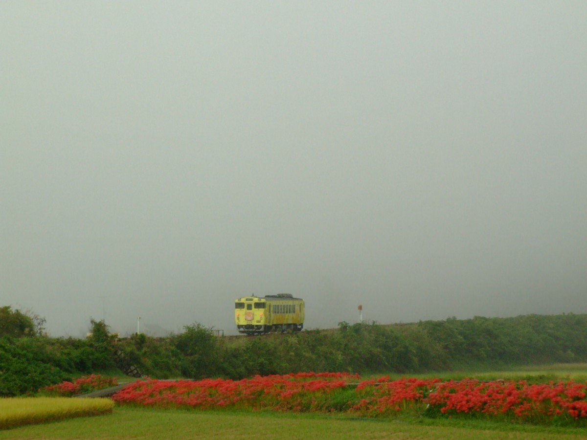 撮影・姫新線・播磨徳久