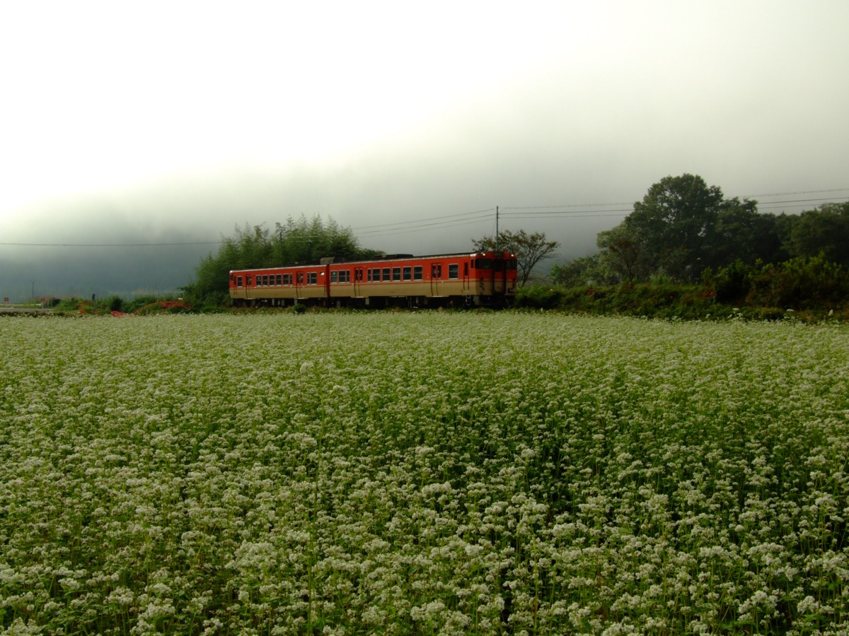 撮影・姫新線・三日月－播磨徳久