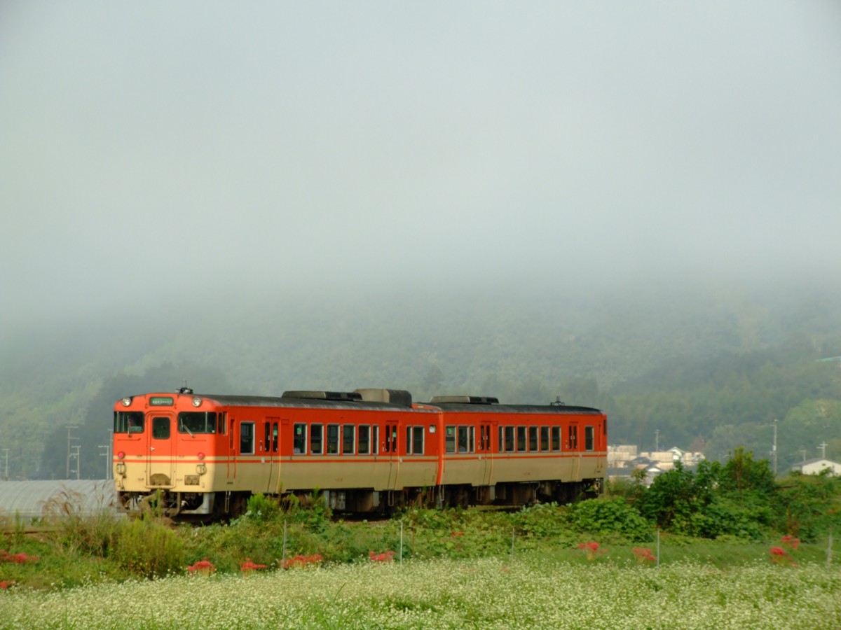 撮影・姫新線・三日月－播磨徳久