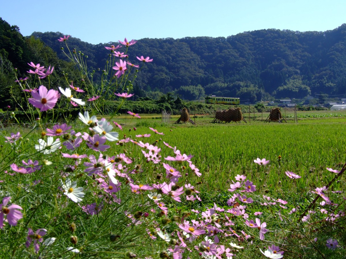 撮影・姫新線・三日月－播磨徳久