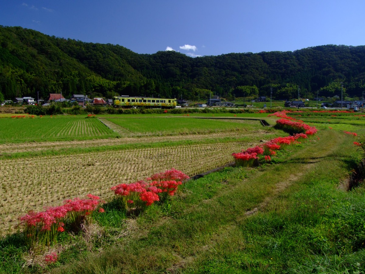 撮影・姫新線・三日月－播磨徳久