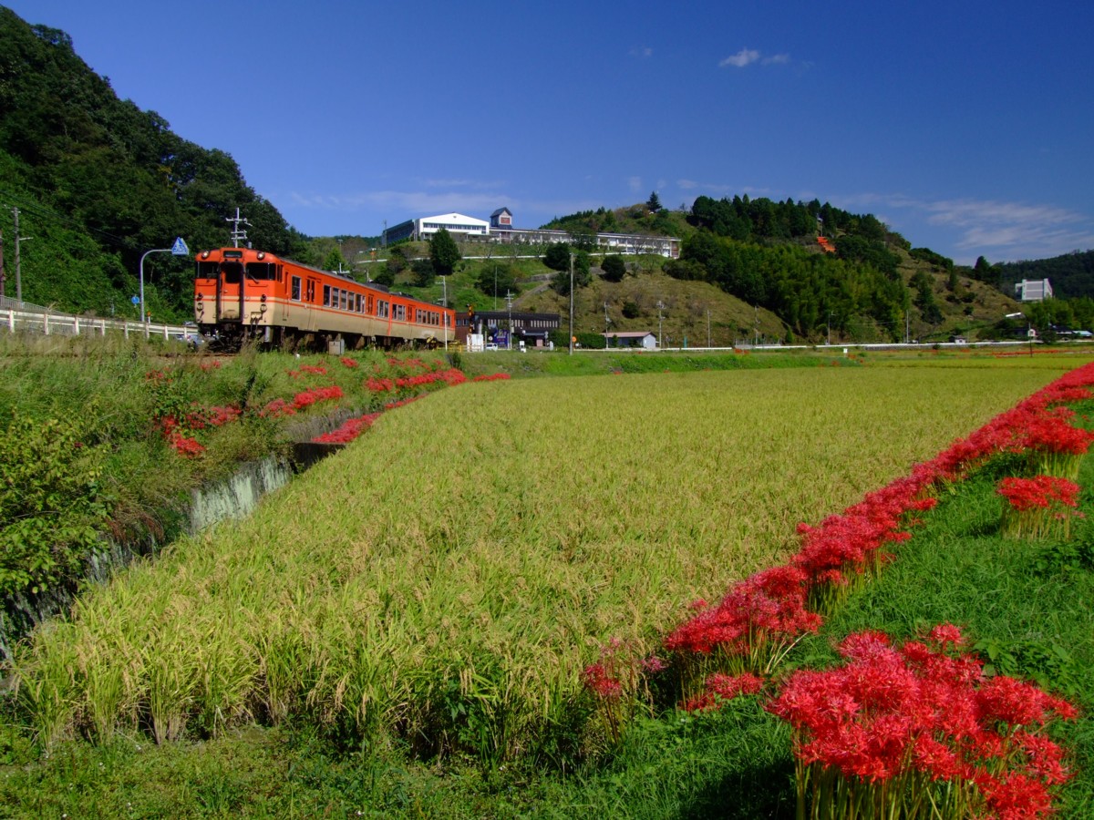 撮影・姫新線・三日月－播磨徳久