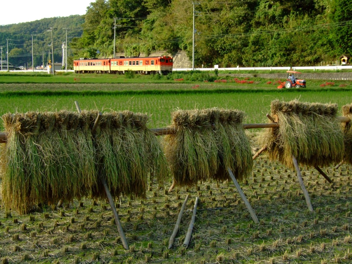 撮影・姫新線・三日月－播磨徳久